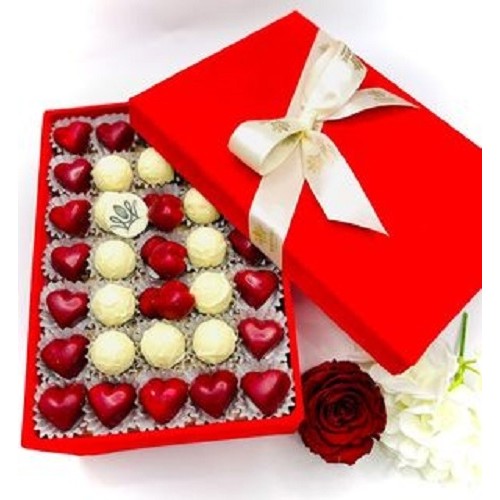 LARGE VELVET BOX